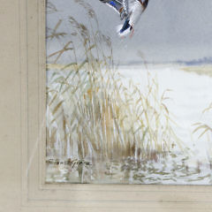 Roland Green Watercolor on Paper “Mallards In Flight”