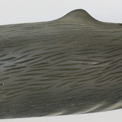 Carved and Painted Sperm Whale by Peter Thompson