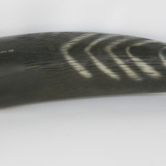 Carved and Painted Sperm Whale by Peter Thompson