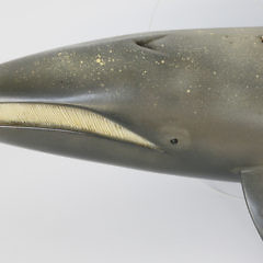 Carved and Painted Gray Whale by Peter Thompson