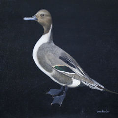 James Peter Cost Oil on Canvas “Love A Duck”