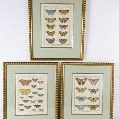 545-1865 Butterfly Lithographs A_MG_1374 edit