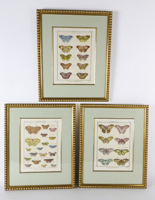 545-1865 Butterfly Lithographs A_MG_1374 edit