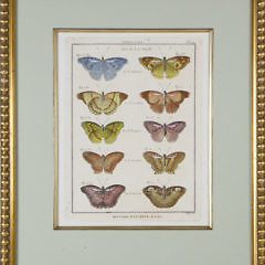 Set of 3 Antique French Handcolored Engravings of Butterflies