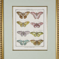 Set of 3 Antique French Handcolored Engravings of Butterflies