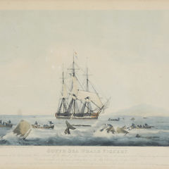 W.J. Huggins Colored Print, “South Sea Whale Fishery”, 19th Century