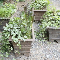 Set of Four Antique Cast Iron Rectangular Flower Planters