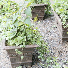 Set of Four Antique Cast Iron Rectangular Flower Planters