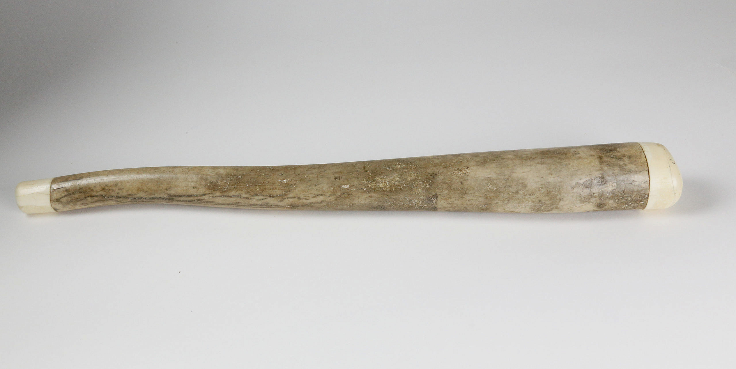Ancient Walrus Penile Bone Oosik 19th Century - Ancient Walrus Penile