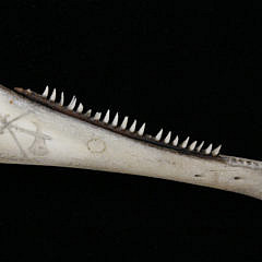 Pair of Scrimshaw Porpoise Jawbones, 19th c.