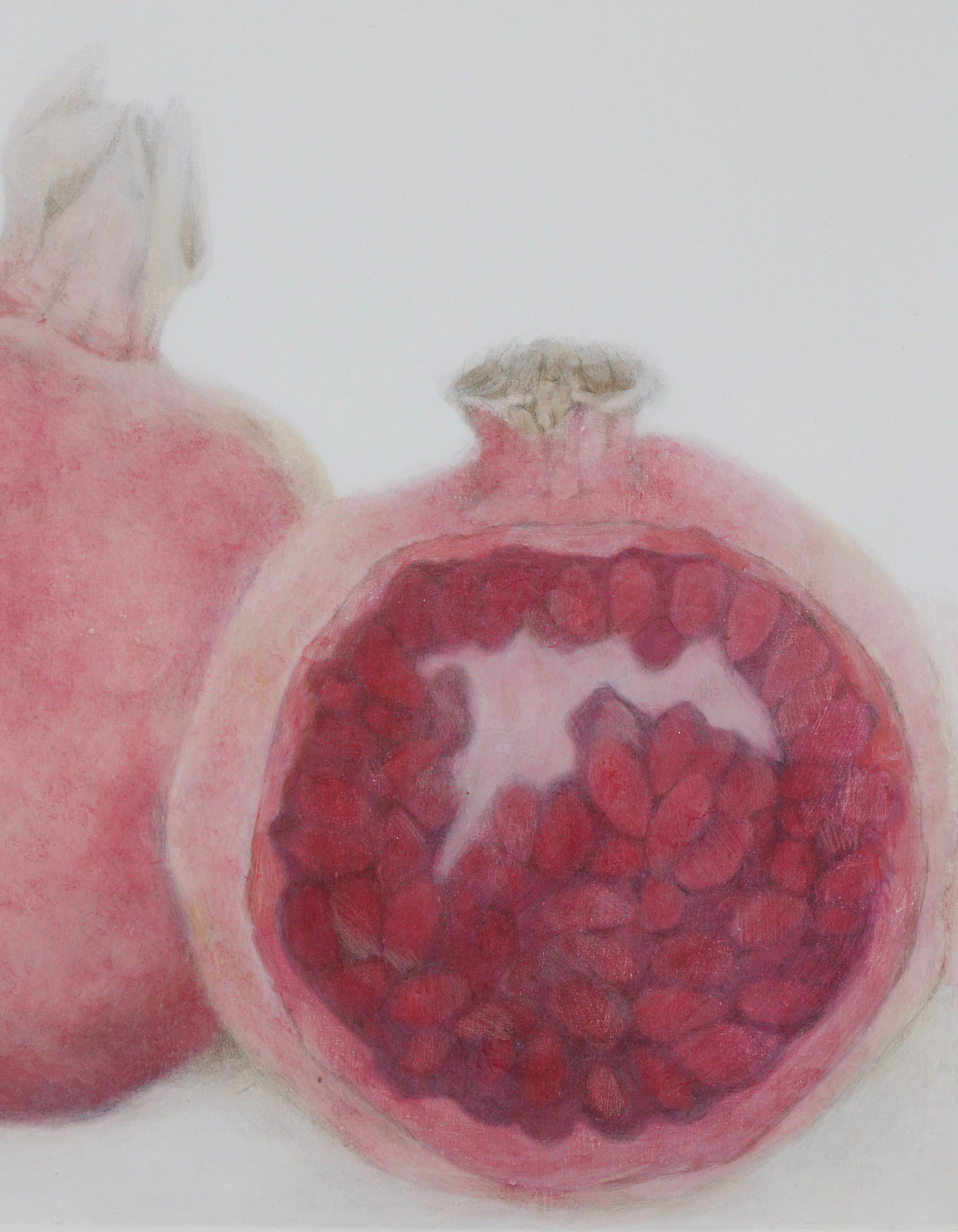 224898 Virginia Greenleaf "Persimmon" B_MG_5536 Rafael Osona