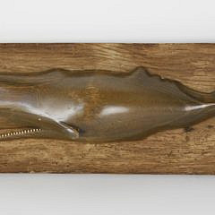 232-4621 Carved Wooden Sperm Whale Plaque A_MG_4583