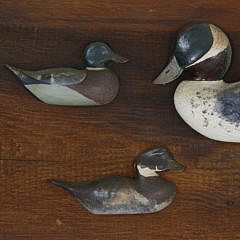 5 Antique Duck Decoys Mounted on a 19th Century Backboard