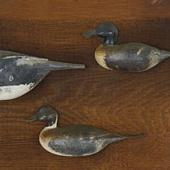 5 Antique Duck Decoys Mounted on a 19th Century Backboard