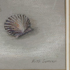 Ruth Sumner Pastel on Paper “Scallop Shells”