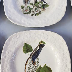 Set of 6 National Audubon Society Porcelain Birds of America Plates