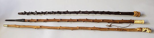 185-4817 Three Walking Sticks A