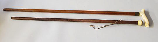 186-4817 Two Walking Sticks A