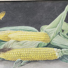 Vintage Oil on Panel Still Life, “Ears of Corn”, Signed Chamberlain