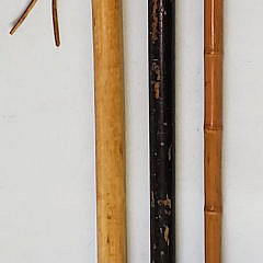 39-4820 Three Walking Sticks A