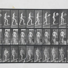 19-4396 Eadweard Muybridge Animal Locomotion A_MG_8296