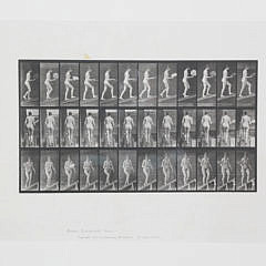 Eadweard Muybridge Animal Locomotion – Plate 78, Copyright 1887