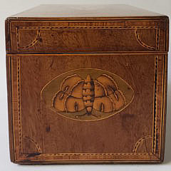 English Satinwood Inlaid Triple Compartment Tea Caddy, 19th Century