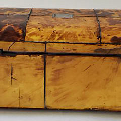 English Regency Tortoiseshell Double Compartment Tea Caddy, 19th Century