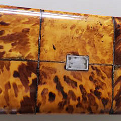 English Regency Tortoiseshell Double Compartment Tea Caddy, 19th Century