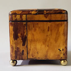 English Regency Tortoiseshell Double Compartment Tea Caddy, 19th Century