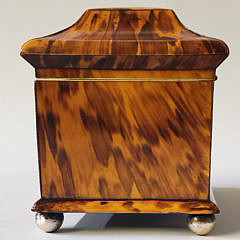 English Regency Tortoiseshell Double Compartment Tea Caddy, 19th Century