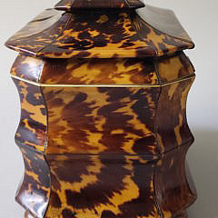 English Regency Tortoiseshell Double Compartment Tea Caddy, 19th Century