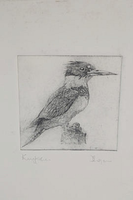 4800 David Lazarus Etching Kingfisher A_MG_8867