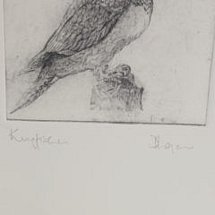 David Lazarus Etching “Kingfisher”