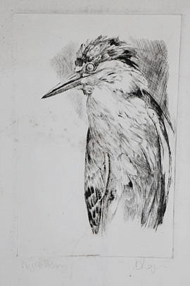 4800 David Lazarus Night Heron Etching A_MG_8860