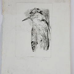 David Lazarus Etching “Night Heron”