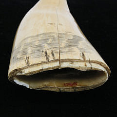 American Scrimshaw Sperm Whale Tooth, circa 1850