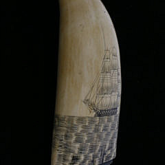 American Scrimshaw Sperm Whale Tooth, circa 1850