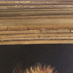 Oil on Board Portrait of a Yorkshire Terrier, 19th Century