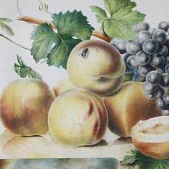 English Still Life Watercolor “Fruit on a Marble Surface”, mid 19th Century