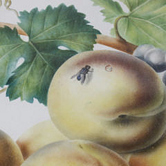 English Still Life Watercolor “Fruit on a Marble Surface”, mid 19th Century