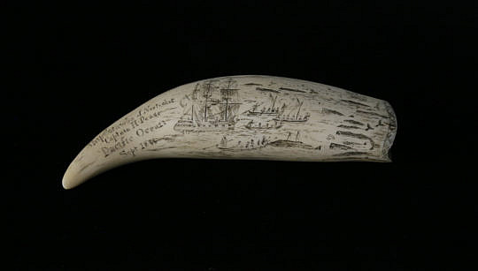 8-4922 Antique Capt H Pease Whale Tooth B_MG_9968