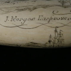 Captain H. Pease Nantucket Scrimshaw Antique Sperm Whale Tooth, 19th Century