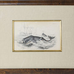 Pair of Whaling Lithographs, “The Spermaceti Whale – Beale”