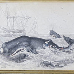 Pair of Whaling Lithographs, “The Spermaceti Whale – Beale”