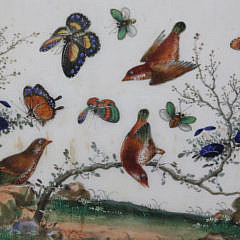 Pair of Chinese Export Watercolors on Pith Paper “Birds and Butterflies Amongst Foliage”, circa 1850