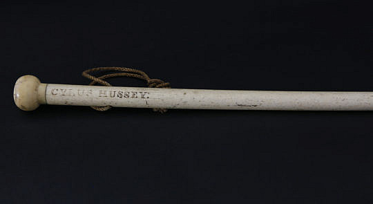 14-4922 Cyrus Hussey Whalebone Walking Stick A _MG_1125