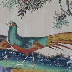 Pair of Chinese Export Watercolors on Pith Paper “Pair of Pheasants and Other Birds in Foliage”, circa 1850