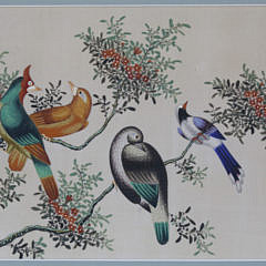 Pair of Chinese Export Watercolors on Pith Paper “Pair of Pheasants and Other Birds in Foliage”, circa 1850