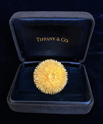 37-4847 Tiffany Company Gold Sea Urchin Pin A IMG_6922